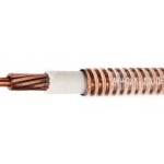 BTTW 0.6/1KV 1X70mm²
